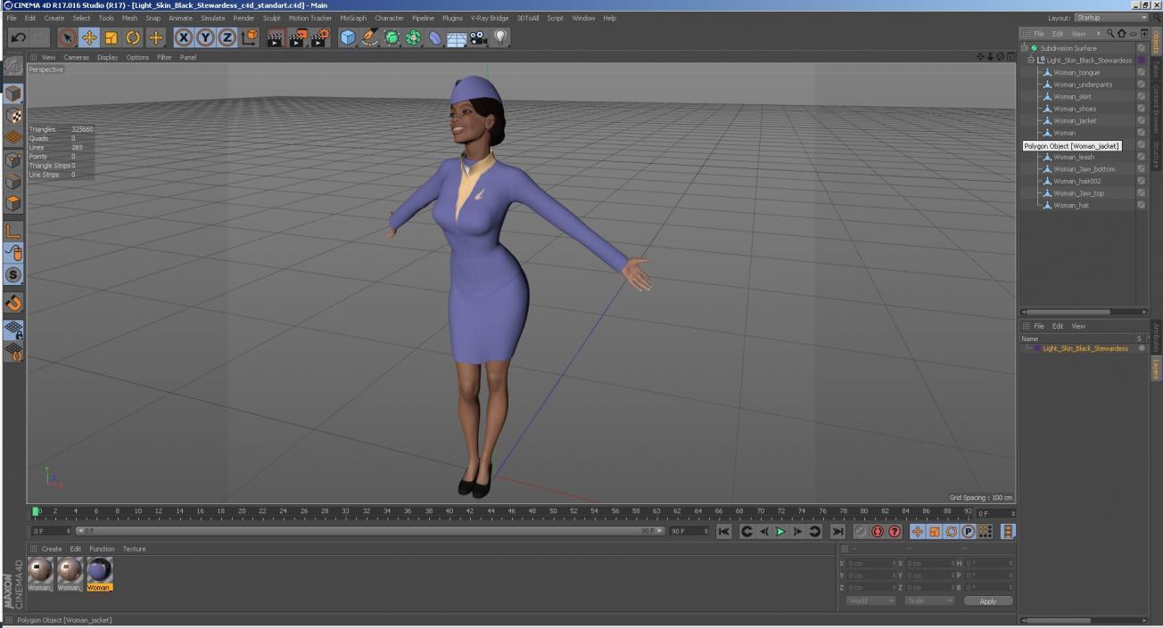 Light Skin Black Stewardess 3D