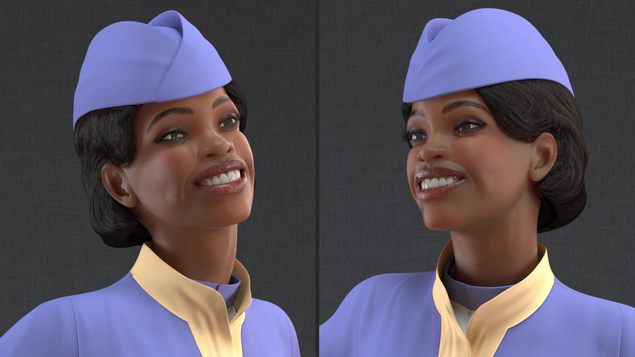 Light Skin Black Stewardess 3D