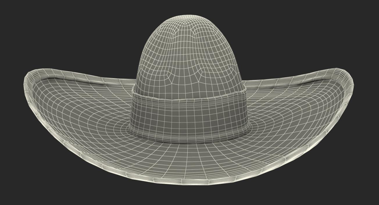 Mexican Straw Sombrero 3D