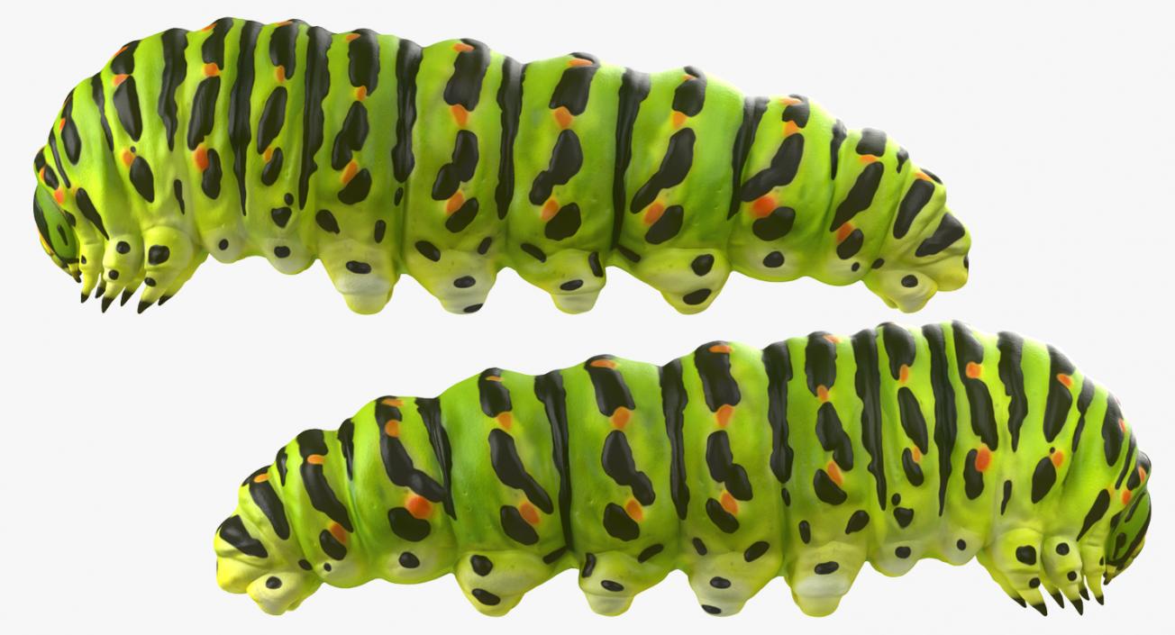 3D Caterpillar