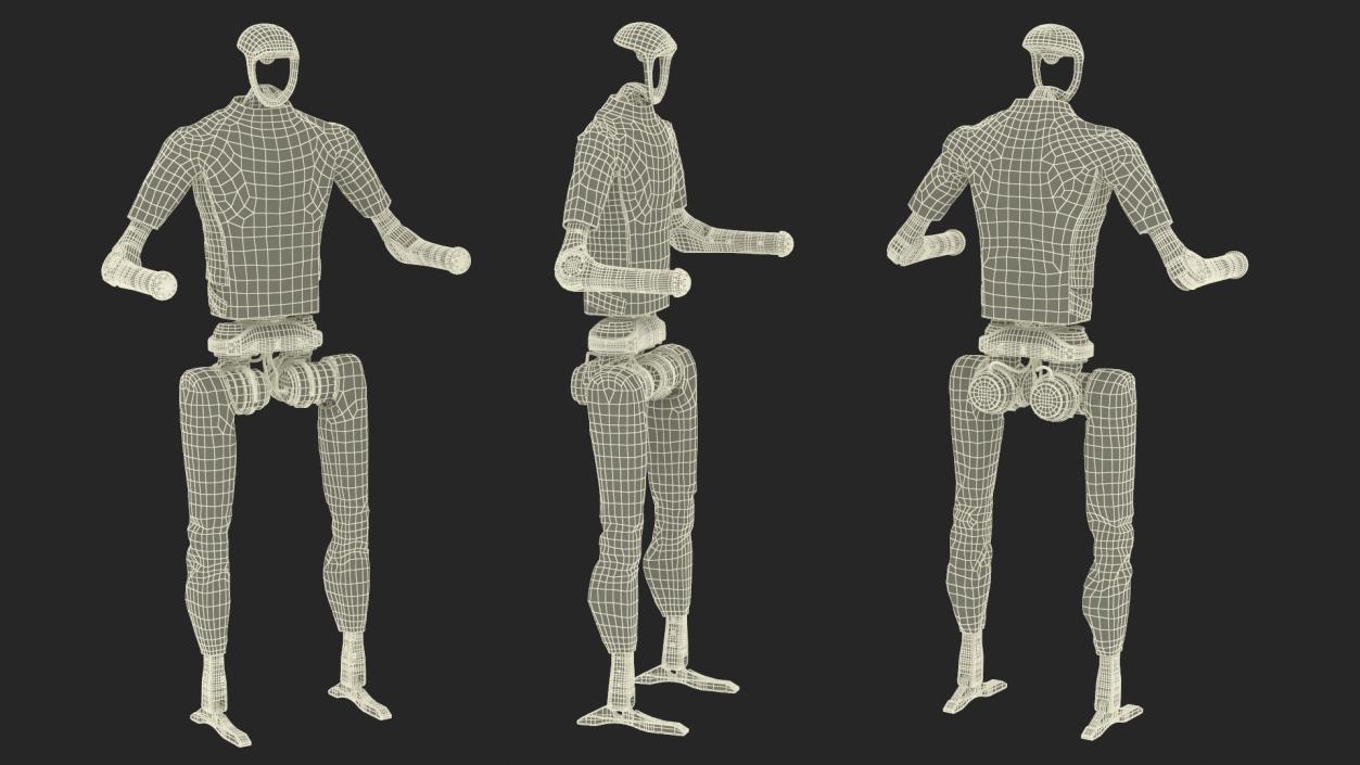 Autonomous Humanoid Robot Rigged 3D