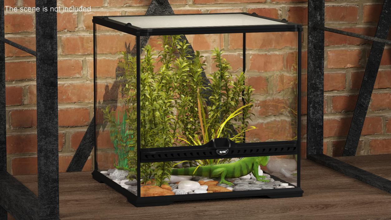 Small Cubic Terrarium with Plants and Iguana 3D model