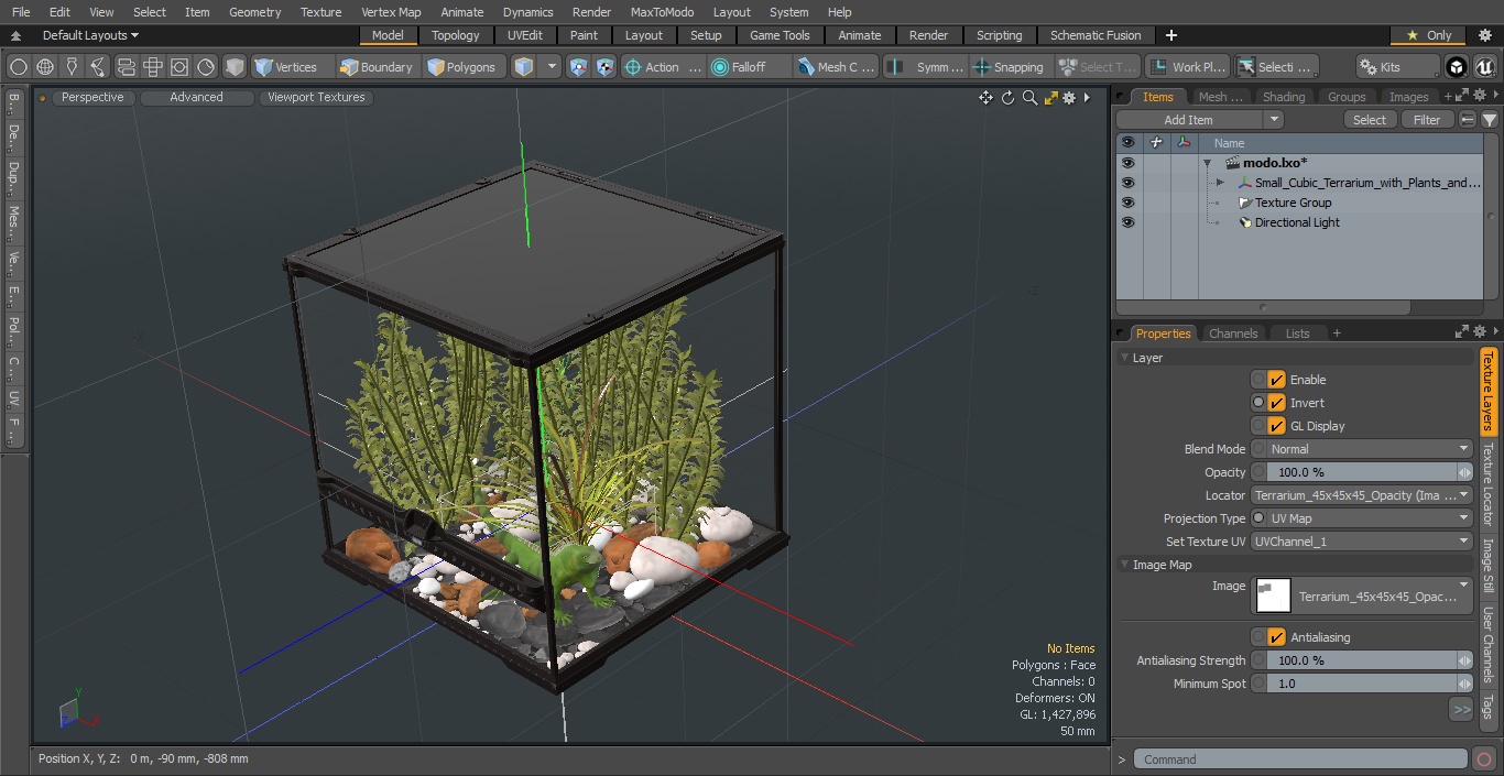 Small Cubic Terrarium with Plants and Iguana 3D model