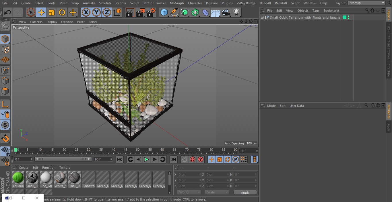 Small Cubic Terrarium with Plants and Iguana 3D model