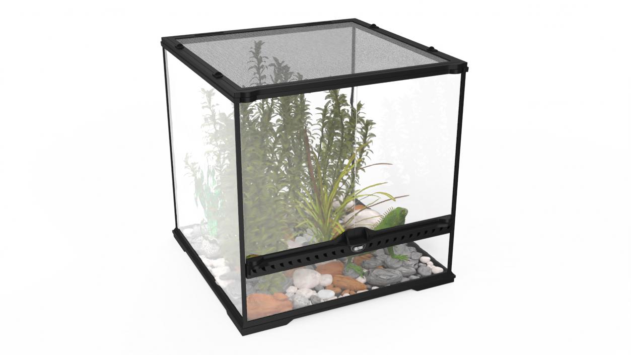 Small Cubic Terrarium with Plants and Iguana 3D model