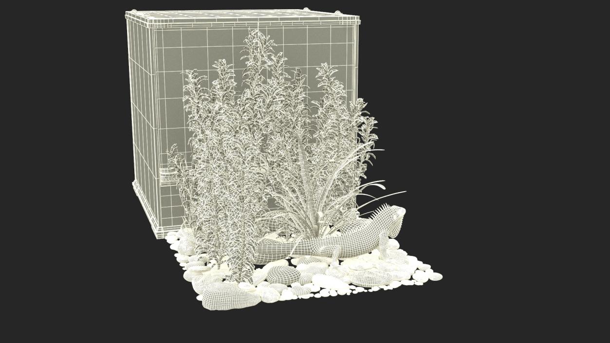 Small Cubic Terrarium with Plants and Iguana 3D model