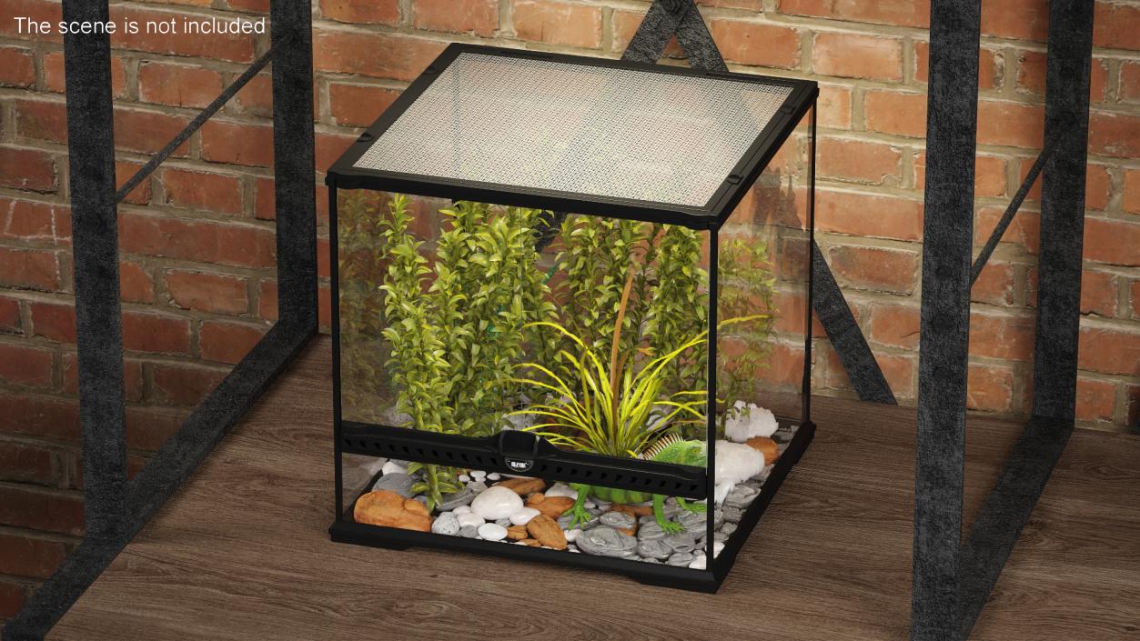 Small Cubic Terrarium with Plants and Iguana 3D model