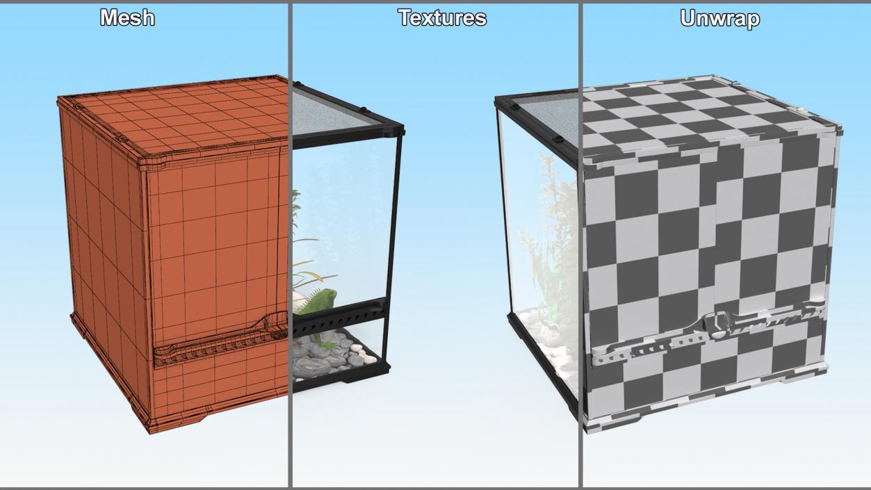 Small Cubic Terrarium with Plants and Iguana 3D model