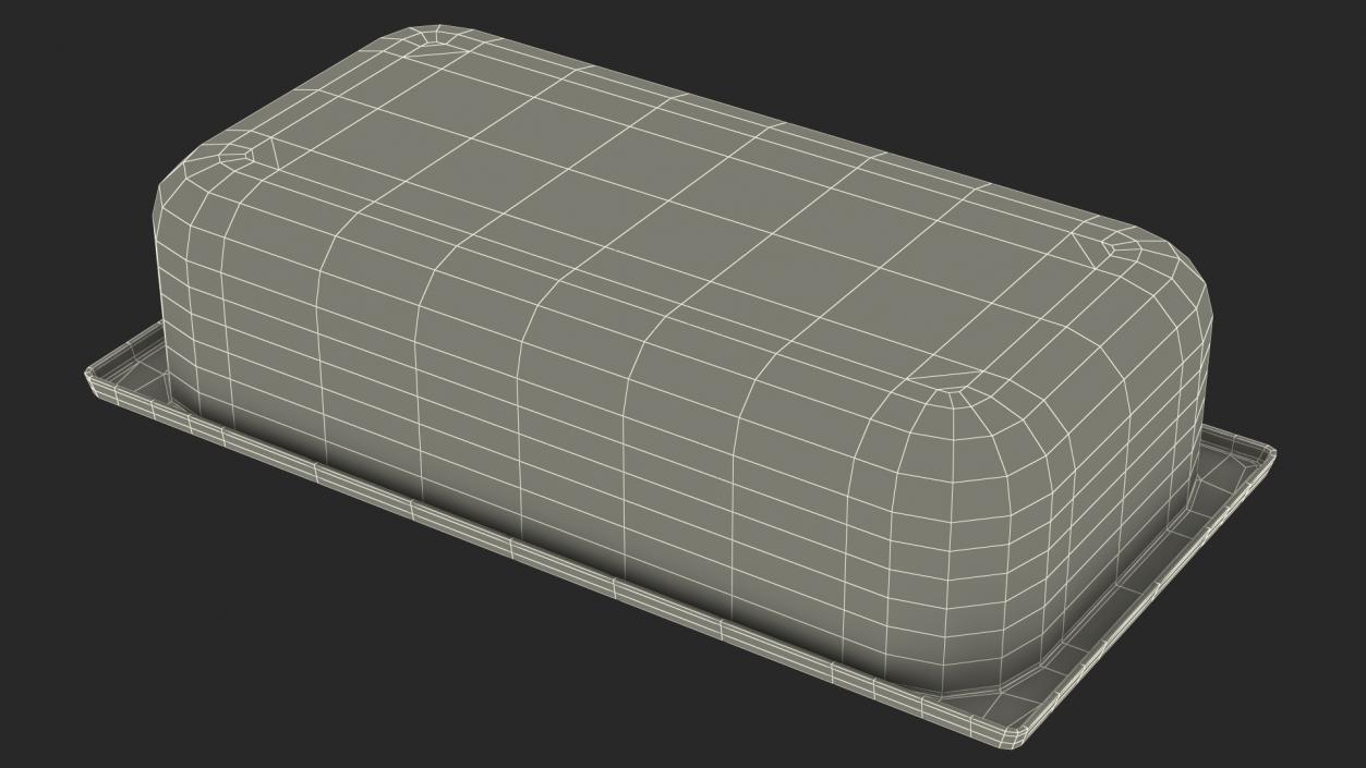 3D model Empty Ice Cream Tray