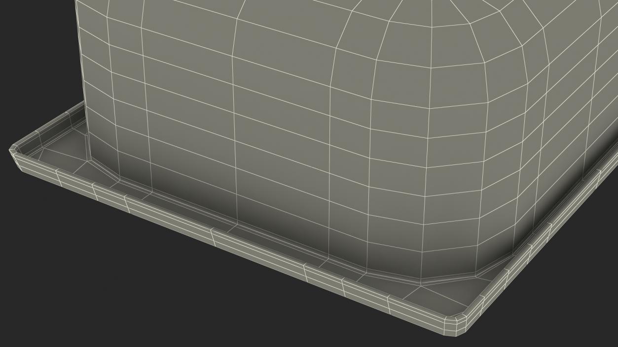 3D model Empty Ice Cream Tray