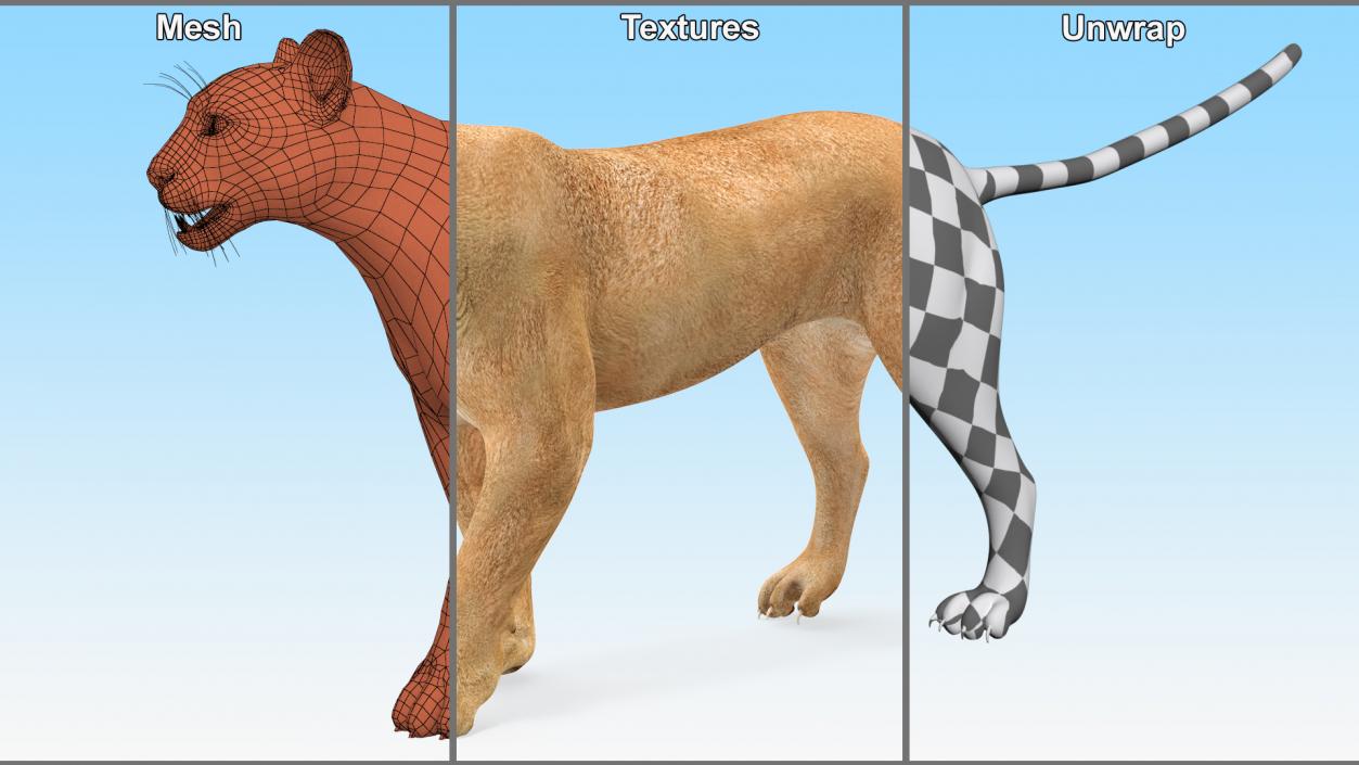 3D Rigged Big Cats Collection