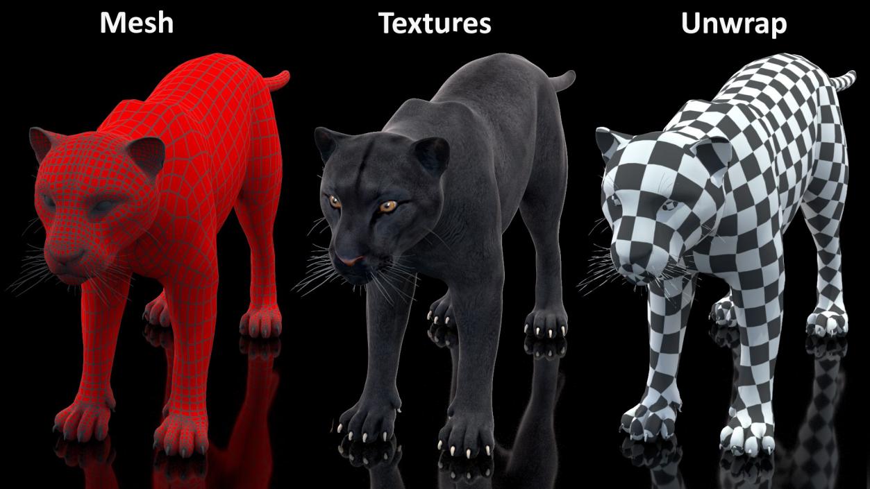 3D Rigged Big Cats Collection