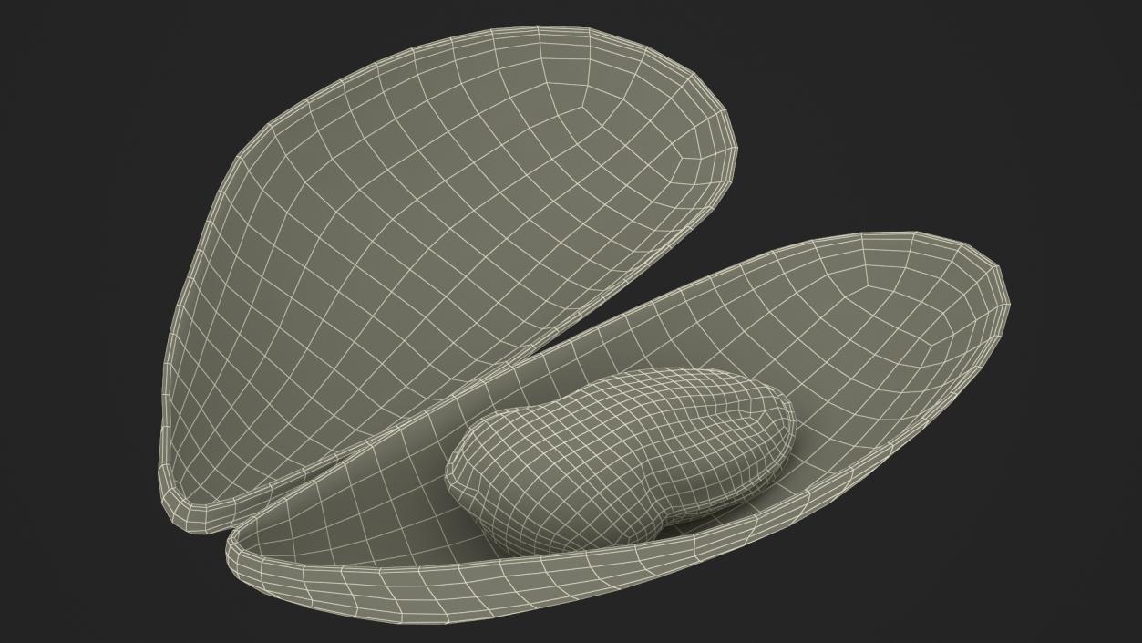 3D Open Cooked Mussel model