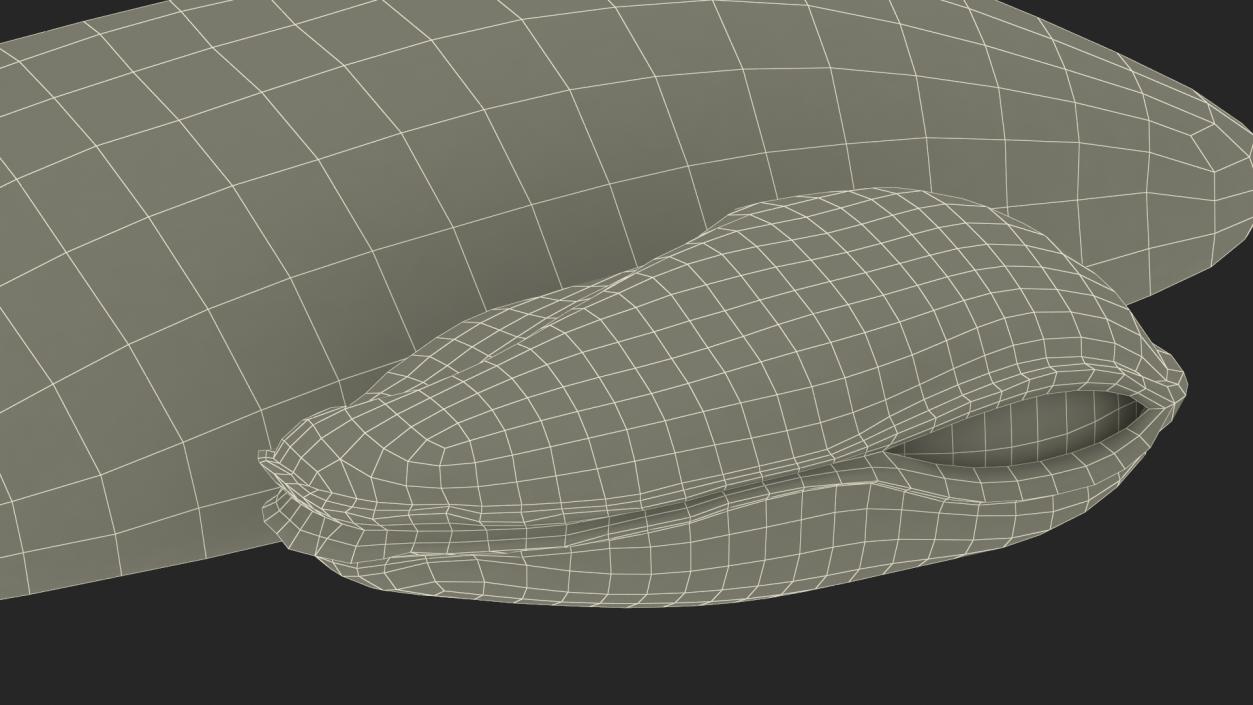 3D Open Cooked Mussel model