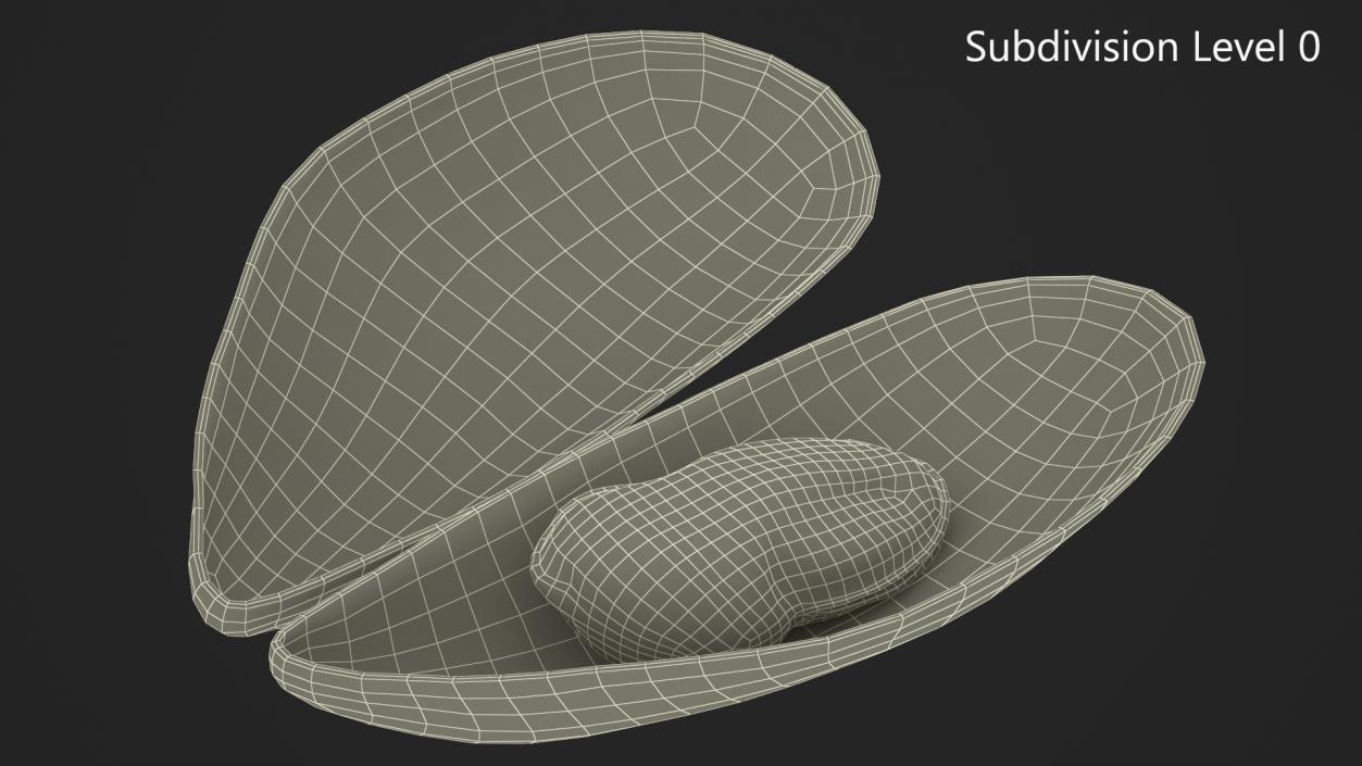 3D Open Cooked Mussel model