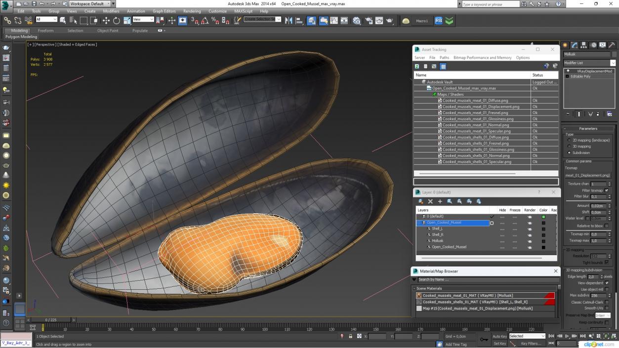 3D Open Cooked Mussel model