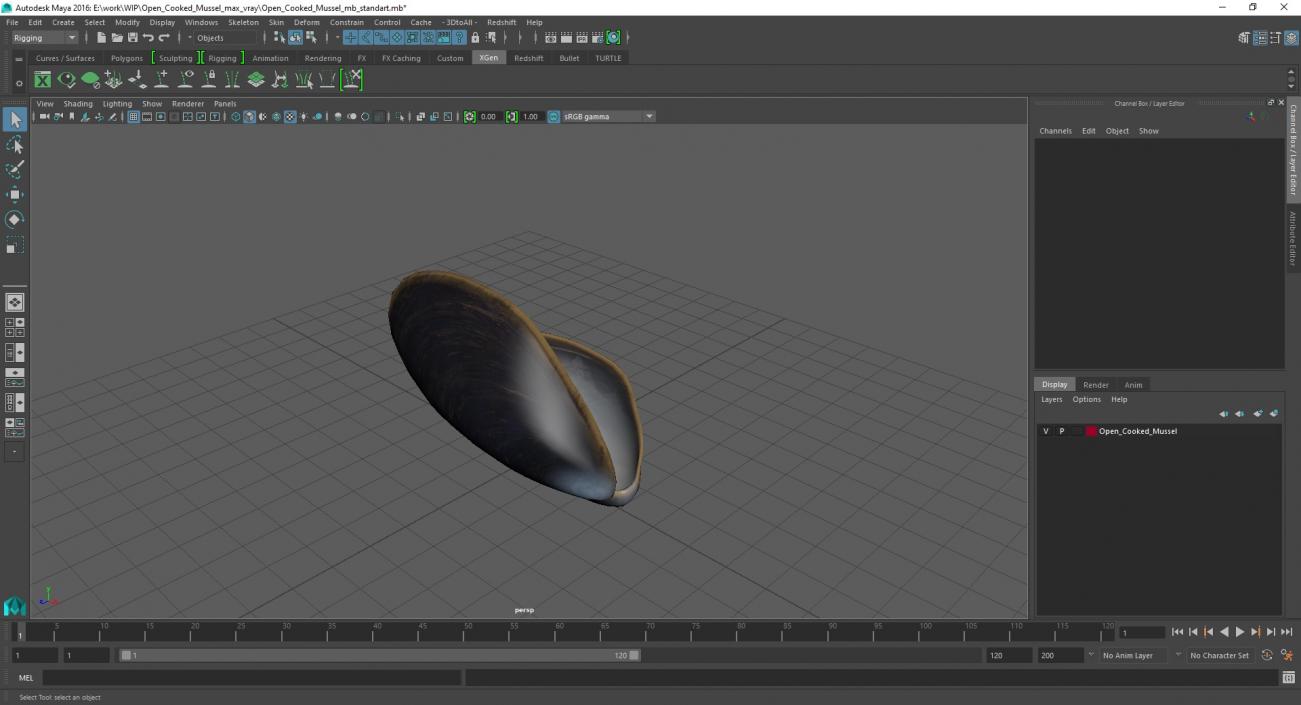 3D Open Cooked Mussel model