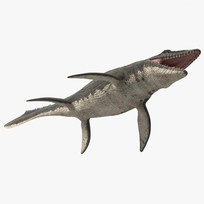 3D Mosasaurus Rigged for Modo