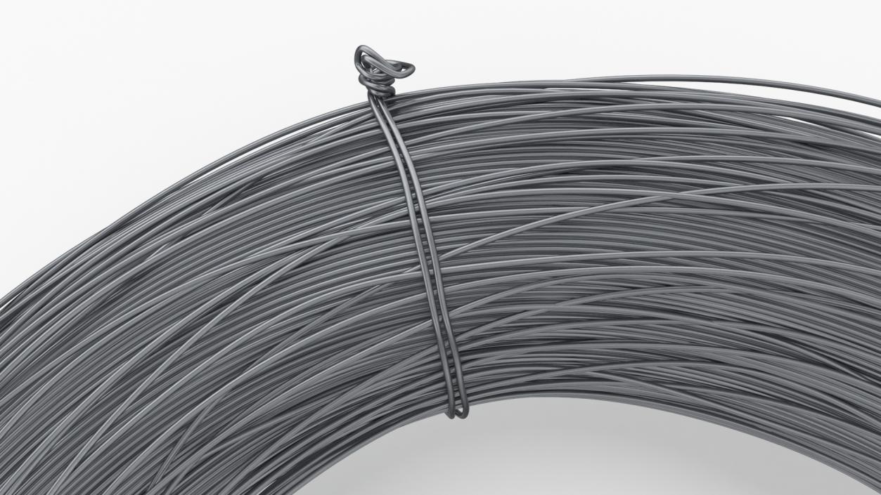 3D model Stainless Steel Wire Coil