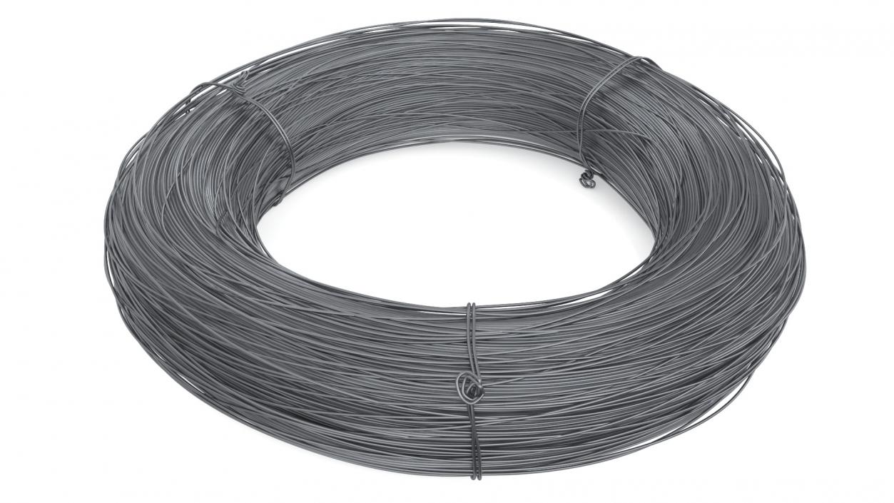 3D model Stainless Steel Wire Coil