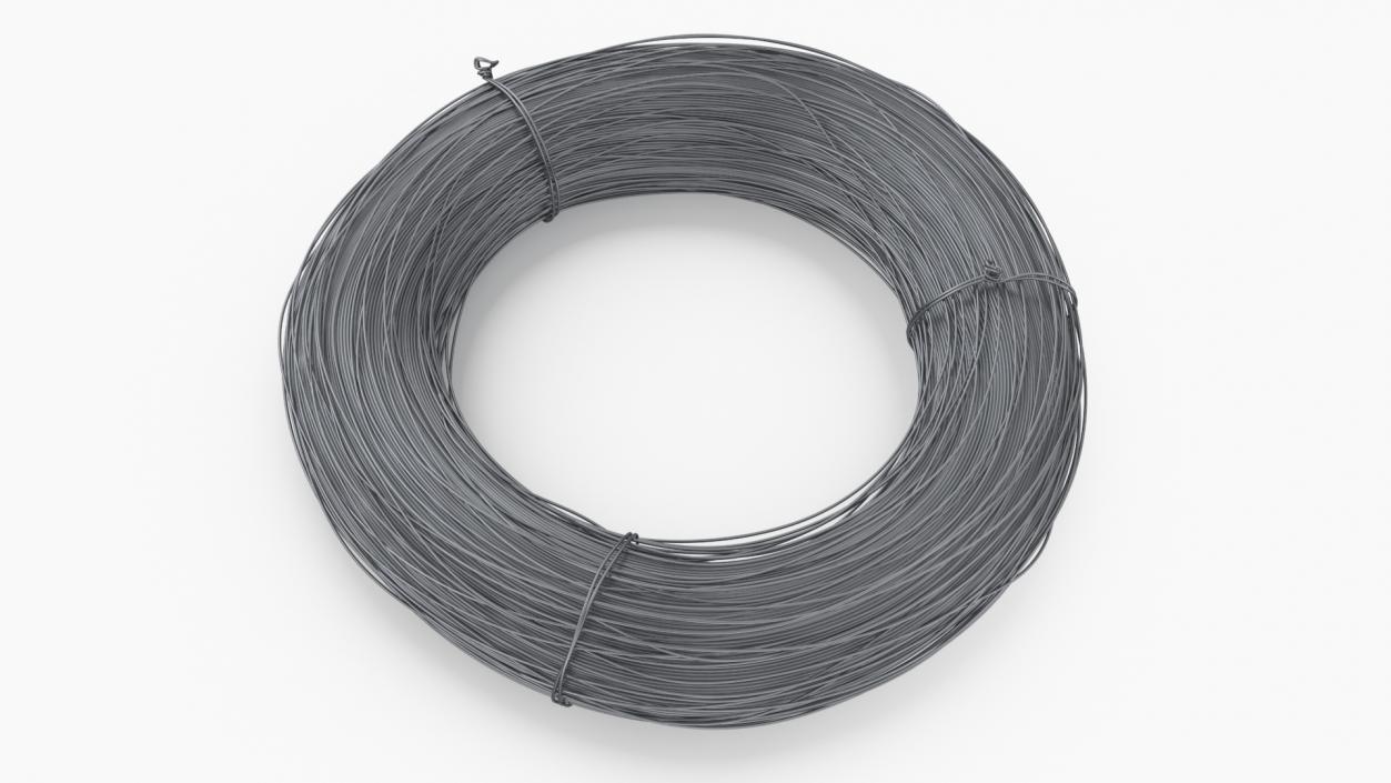 3D model Stainless Steel Wire Coil