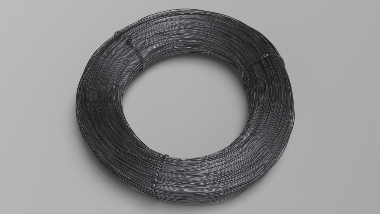 3D model Stainless Steel Wire Coil