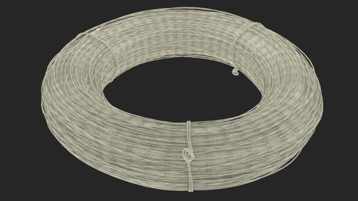 3D model Stainless Steel Wire Coil