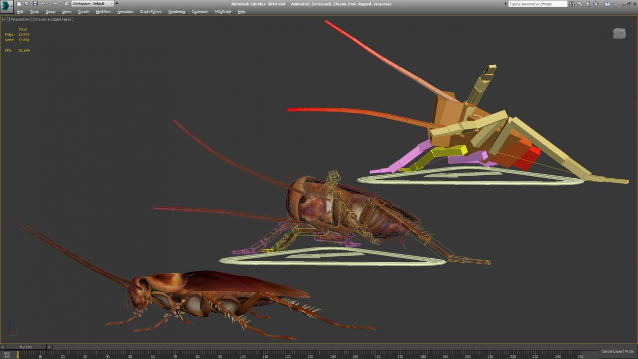 3D Animated Cockroach Cleans Paw Rigged