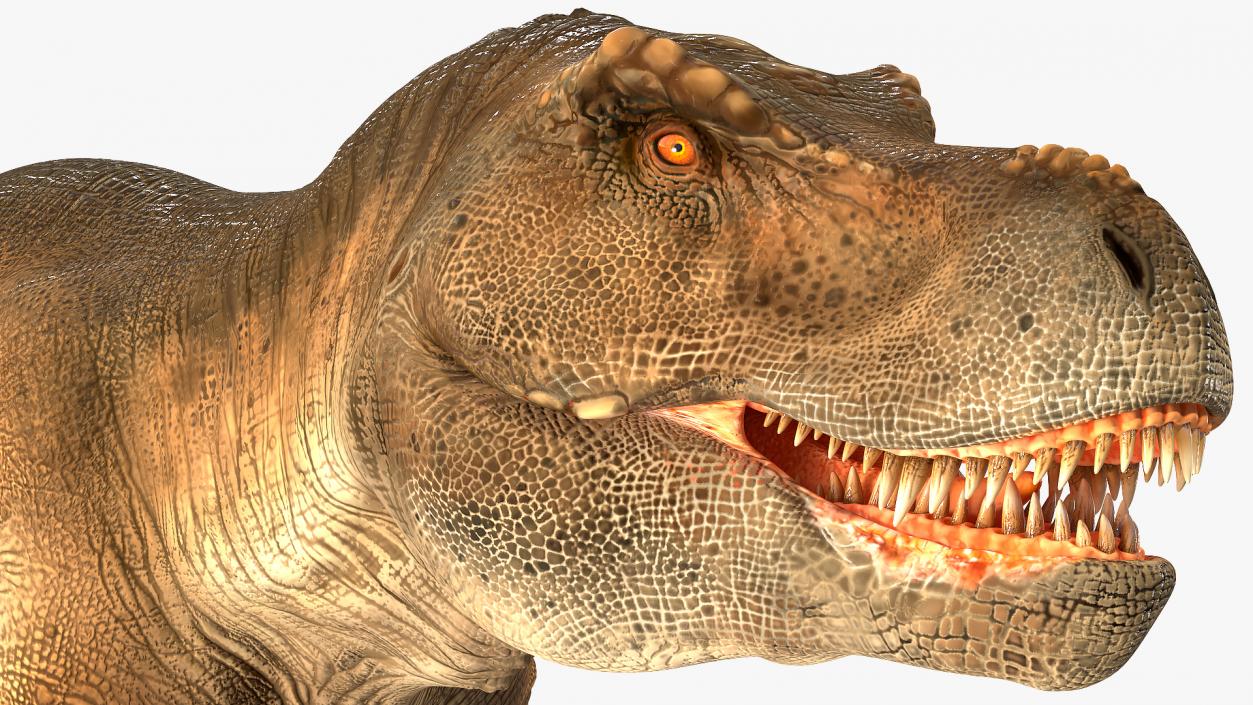 3D model Animated Tyrannosaurus Rex Eating Rigged