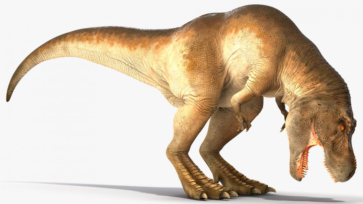 3D model Animated Tyrannosaurus Rex Eating Rigged