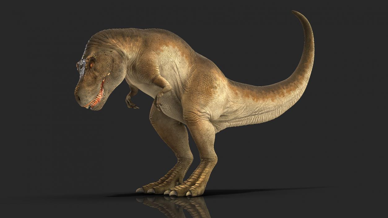 3D model Animated Tyrannosaurus Rex Eating Rigged