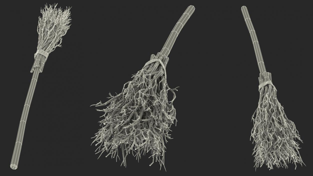 Brooms Collection 3D