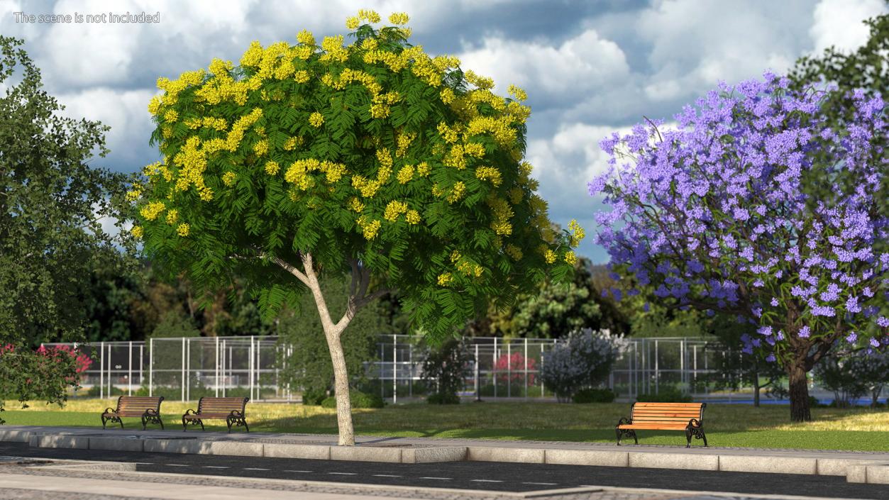 3D model Copperpod Yellow Flame Tree with Flowers