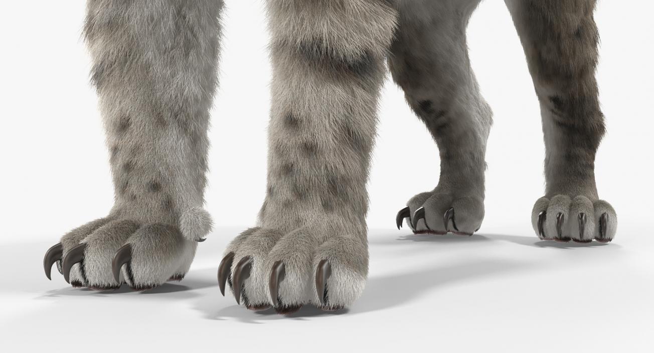 3D Arctic Saber Tooth Cat with Fur