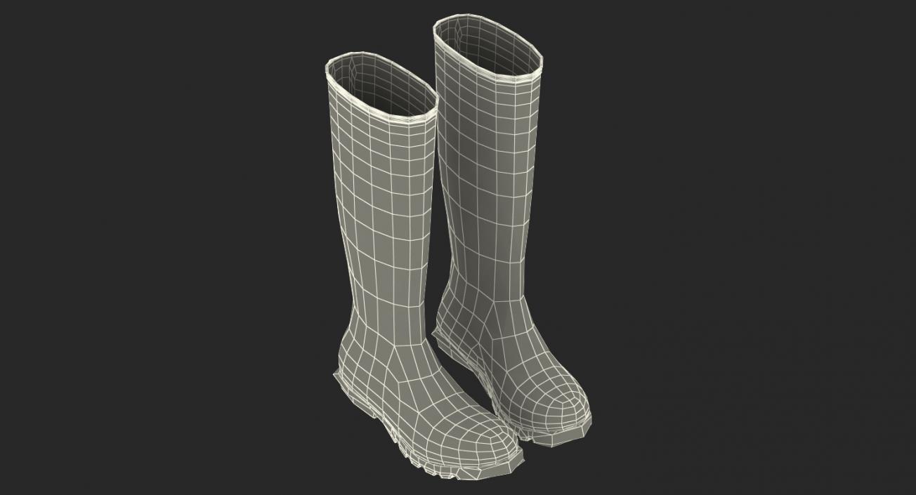 3D model Rain Boots