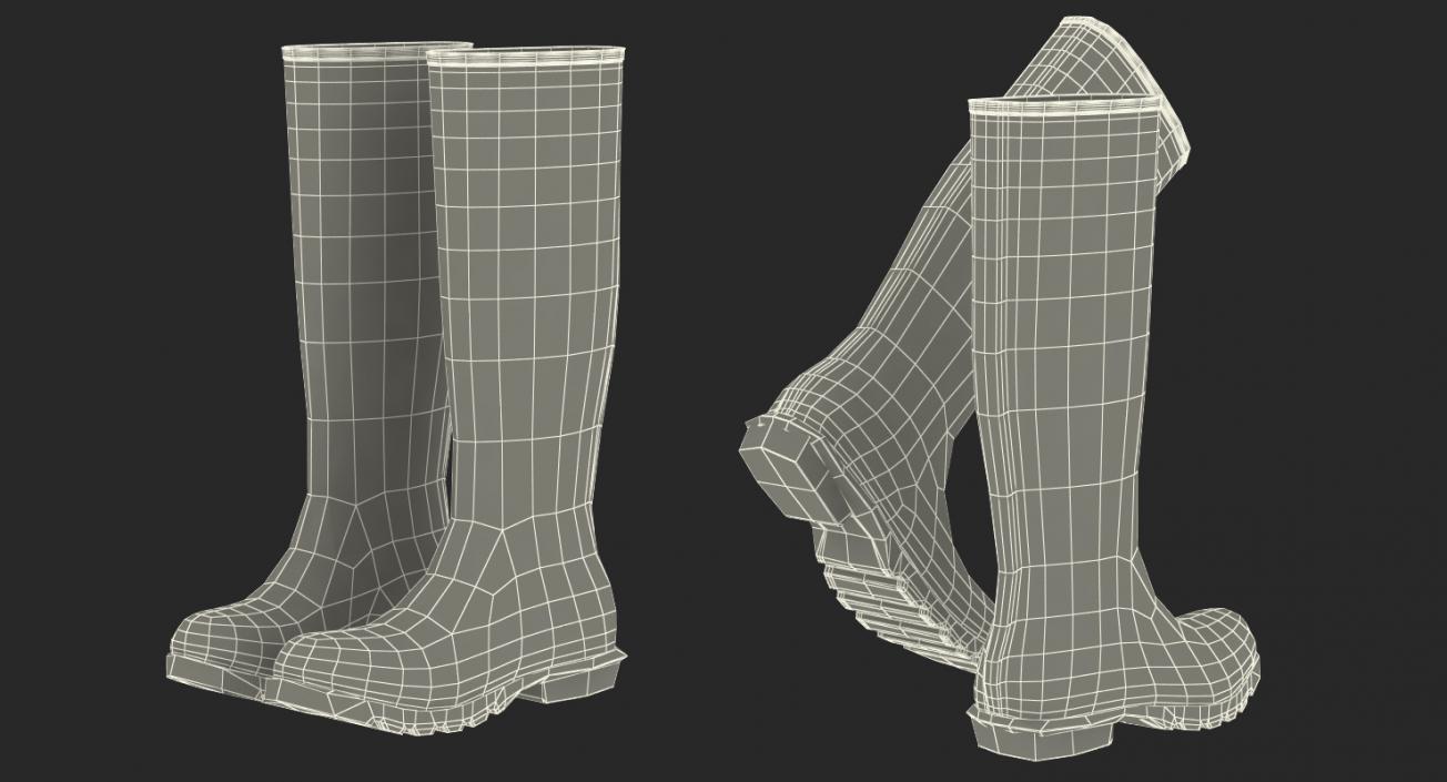 3D model Rain Boots