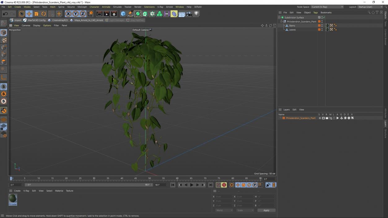 Philodendron Scandens Plant 3D