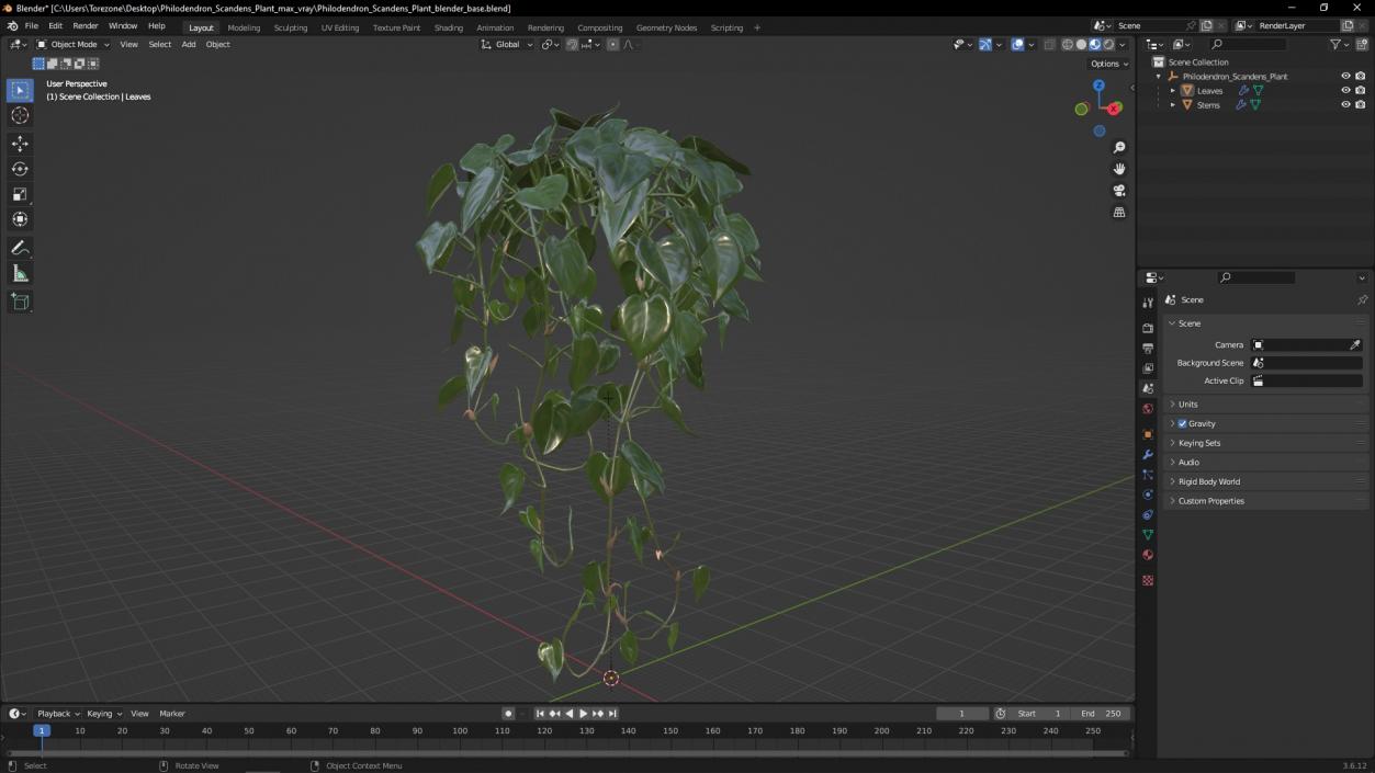 Philodendron Scandens Plant 3D