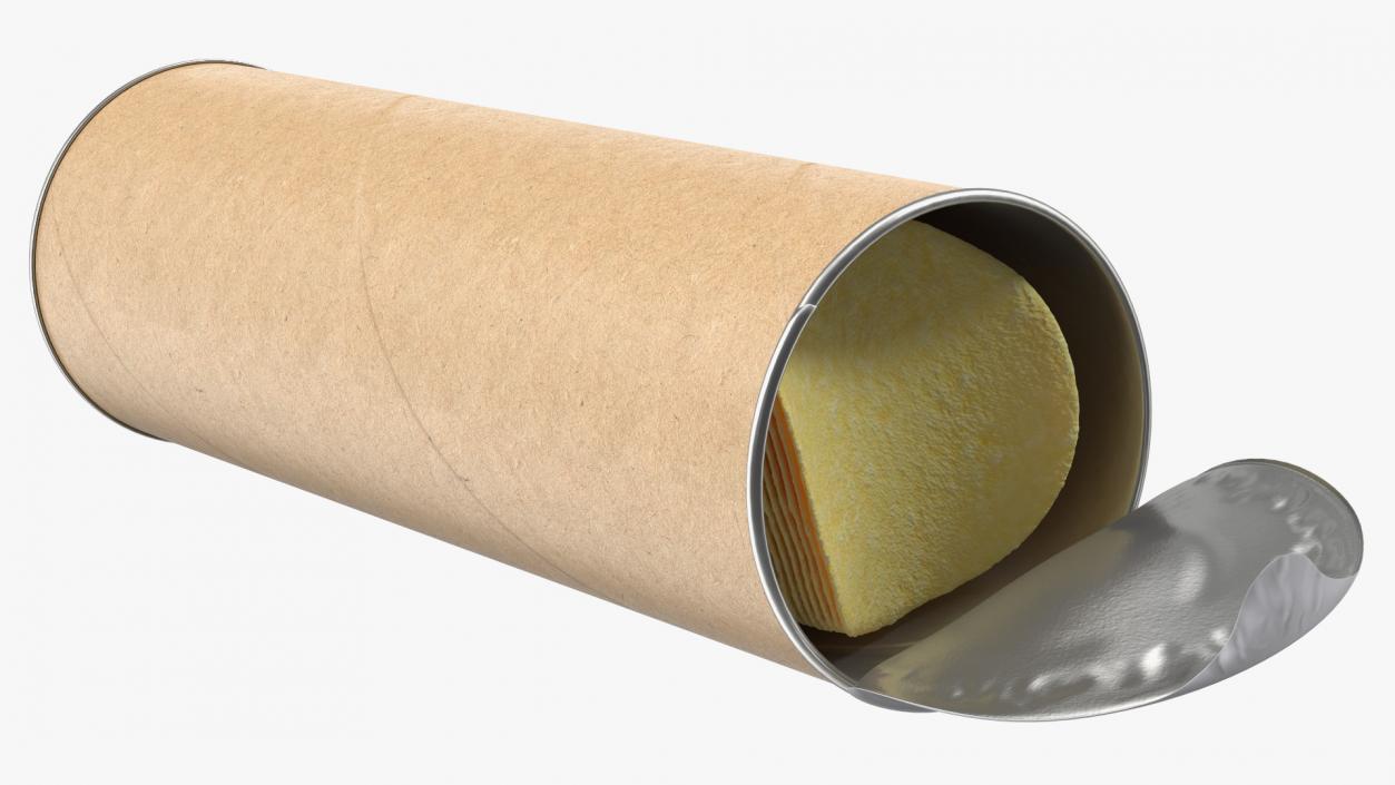 3D Open Paper Tube with Chips