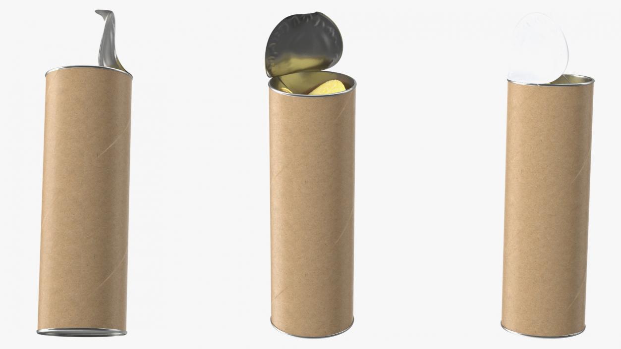 3D Open Paper Tube with Chips