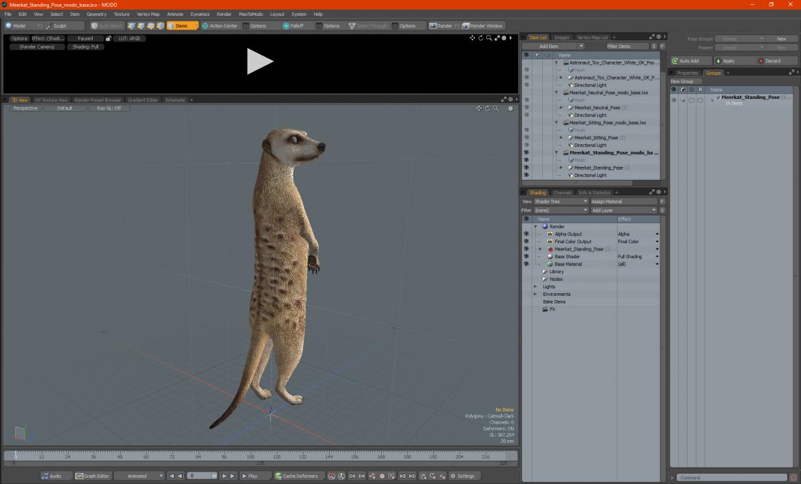 3D Meerkat Standing Pose