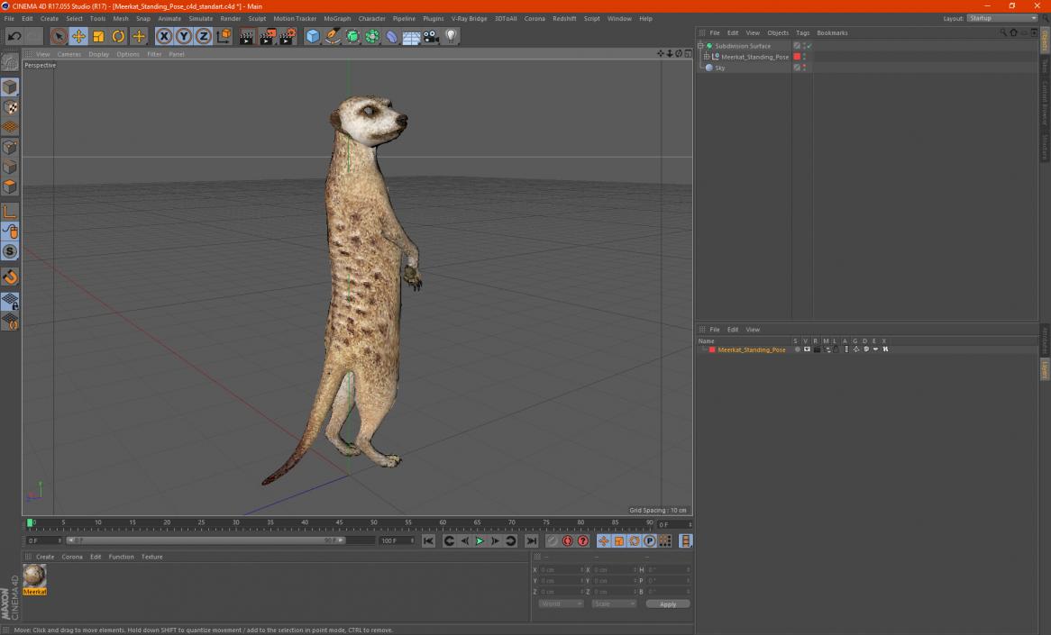 3D Meerkat Standing Pose