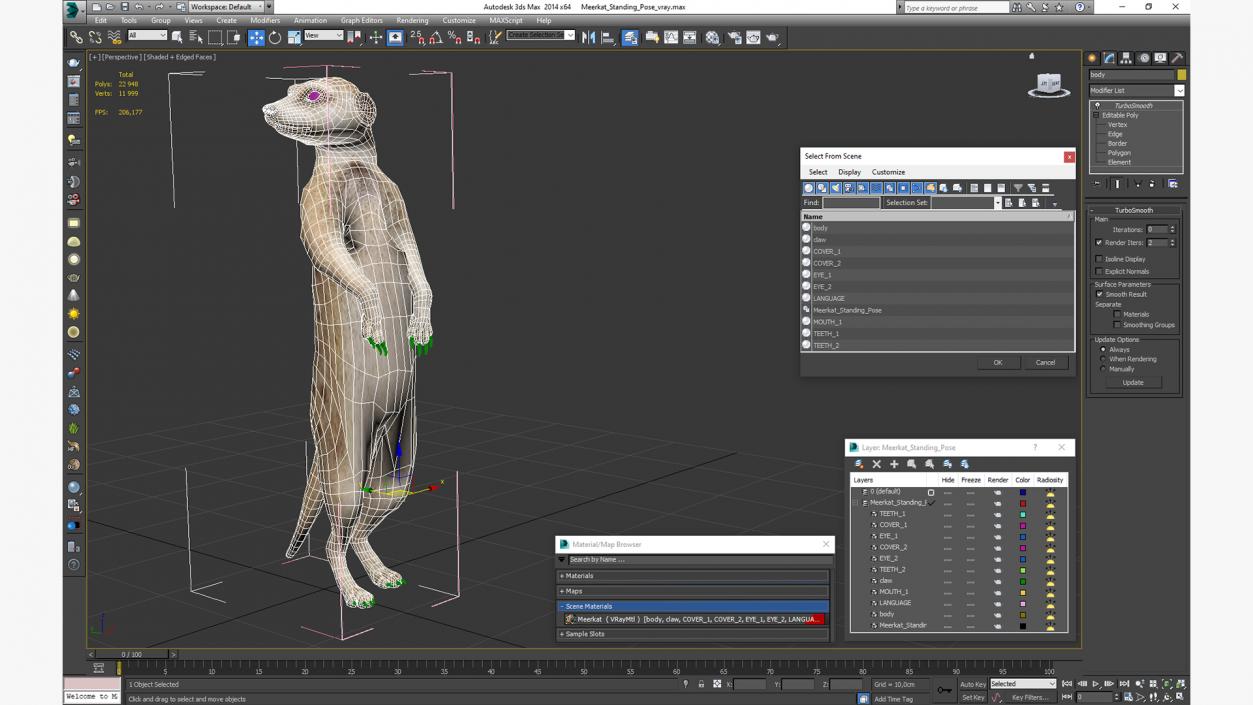 3D Meerkat Standing Pose