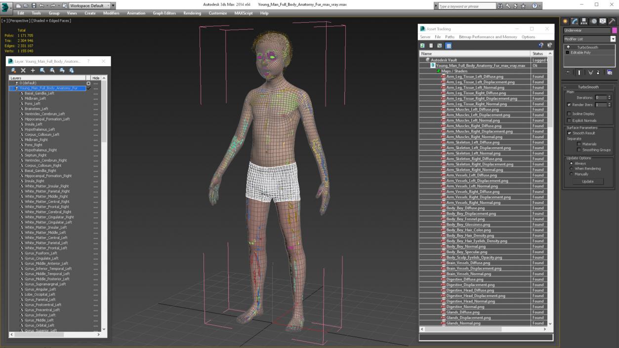 3D Young Man Full Body Anatomy Fur