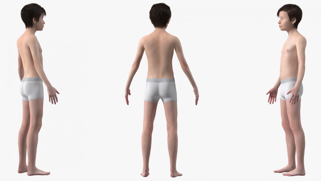 3D Young Man Full Body Anatomy Fur