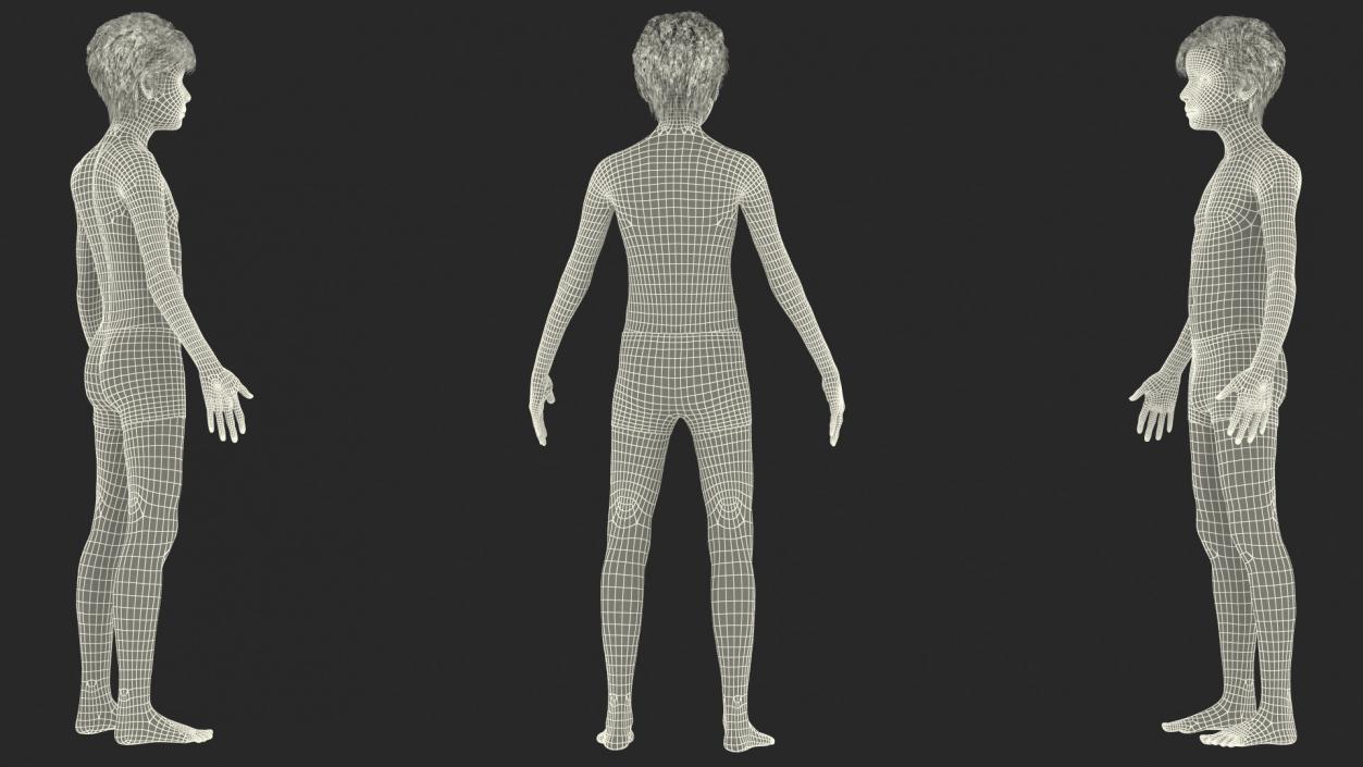 3D Young Man Full Body Anatomy Fur