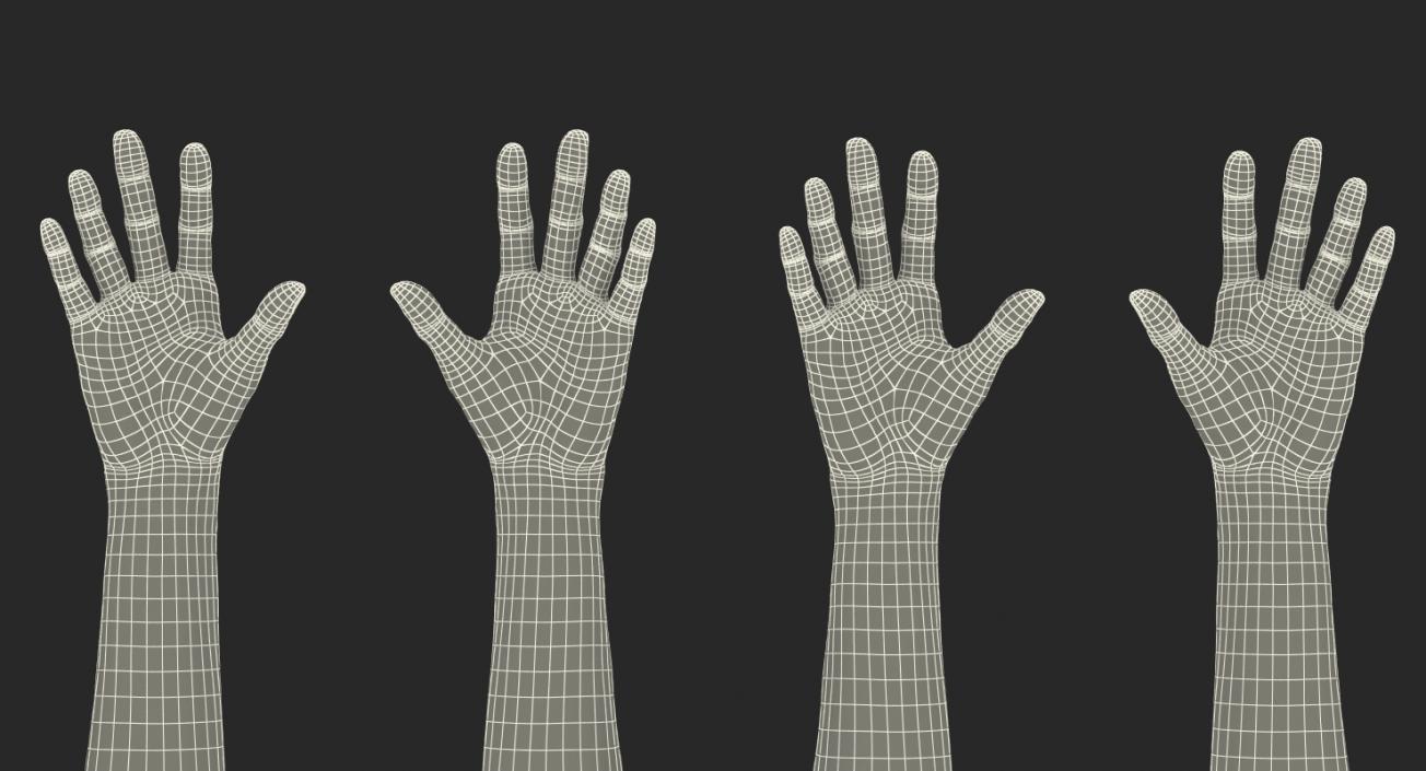 Rigged Man Hands Collection 3D