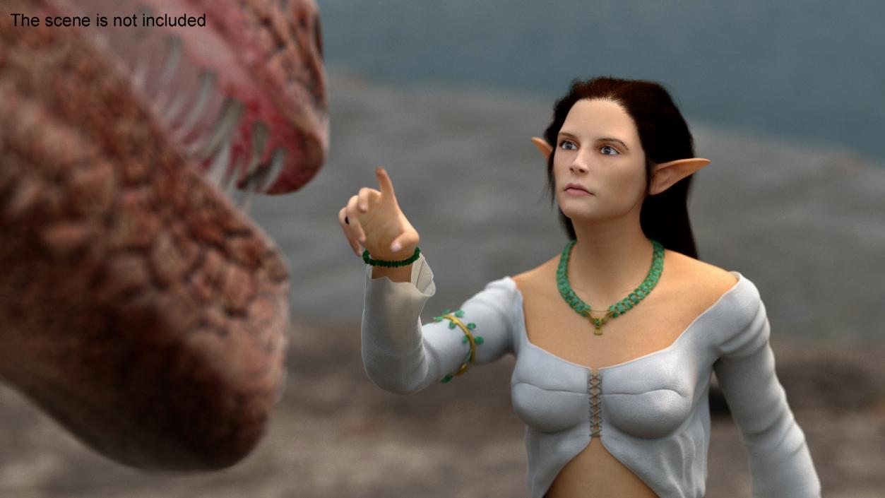 3D Fantasy Dragon and Female Elf Encounter with Fur model