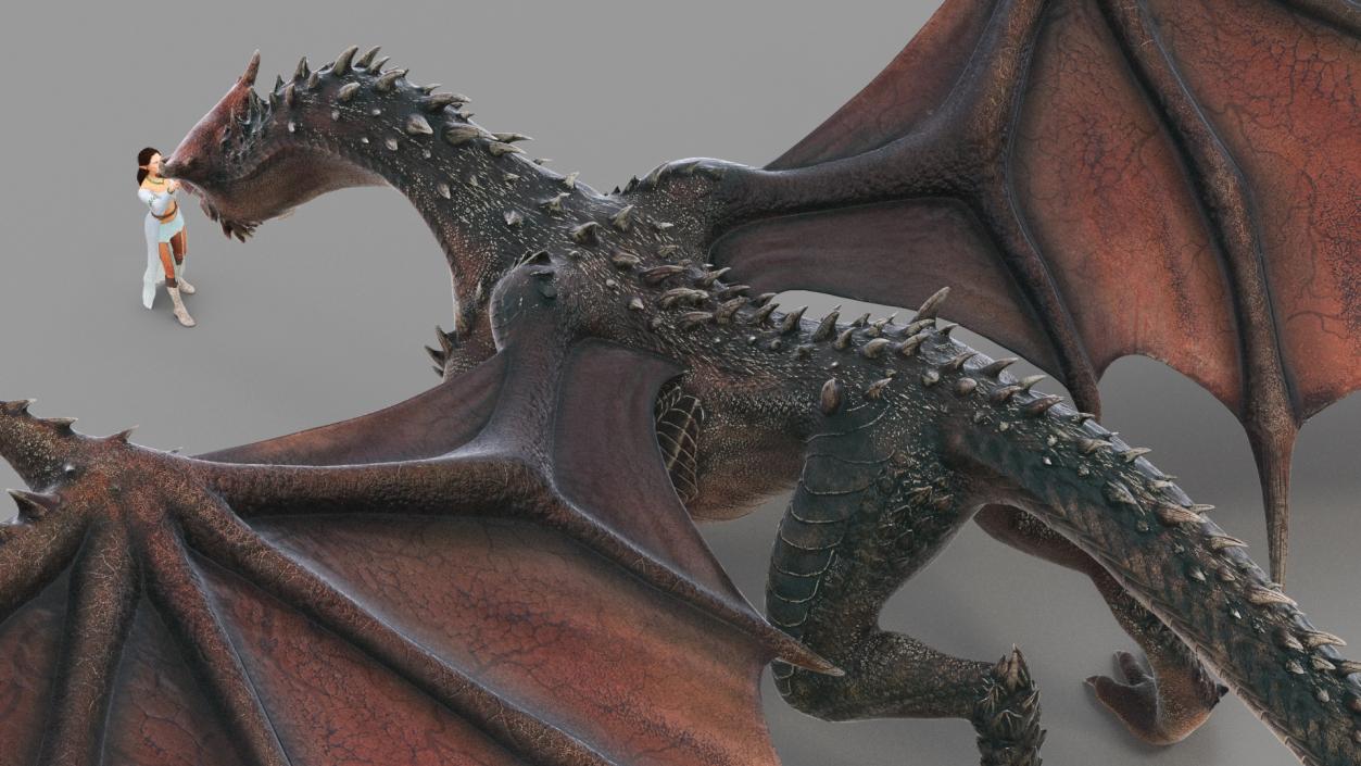 3D Fantasy Dragon and Female Elf Encounter with Fur model