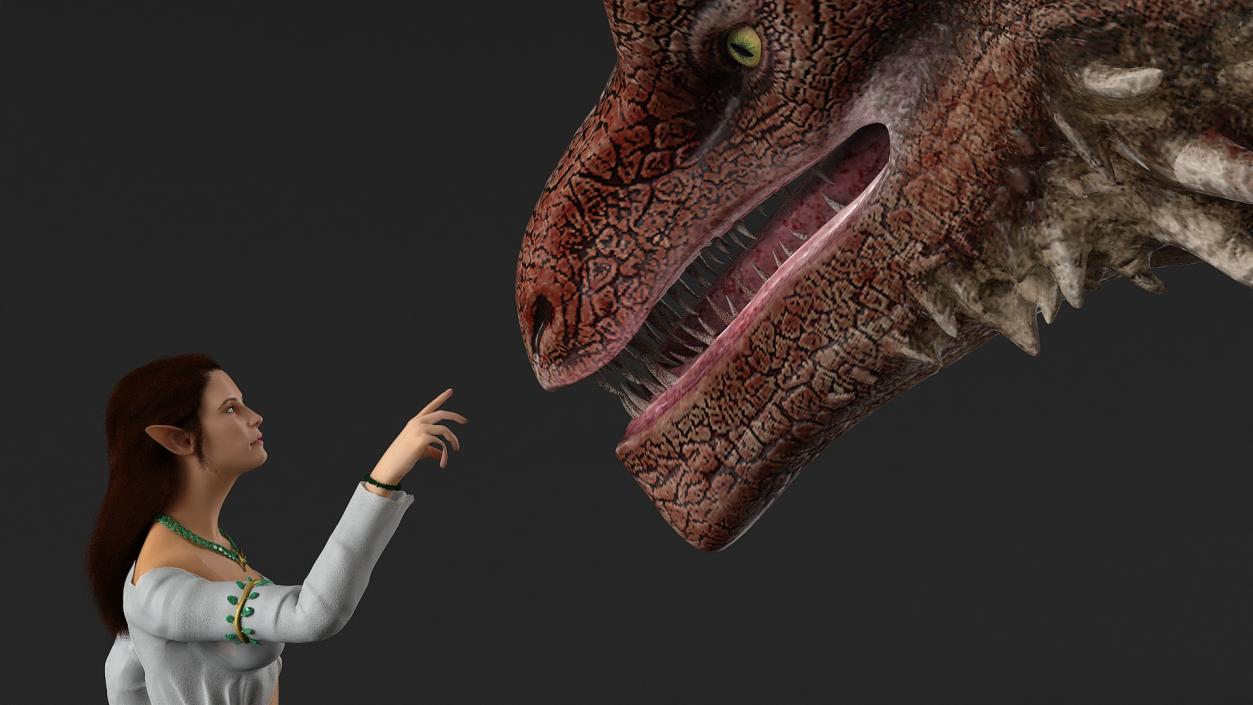 3D Fantasy Dragon and Female Elf Encounter with Fur model